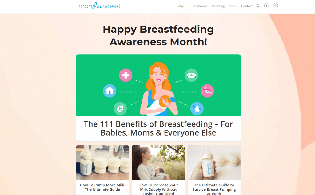 breastfeeding momlovesbest parenting blogging idea that make money