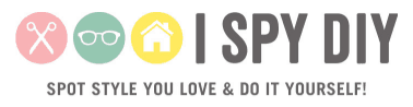 ispydiy logo